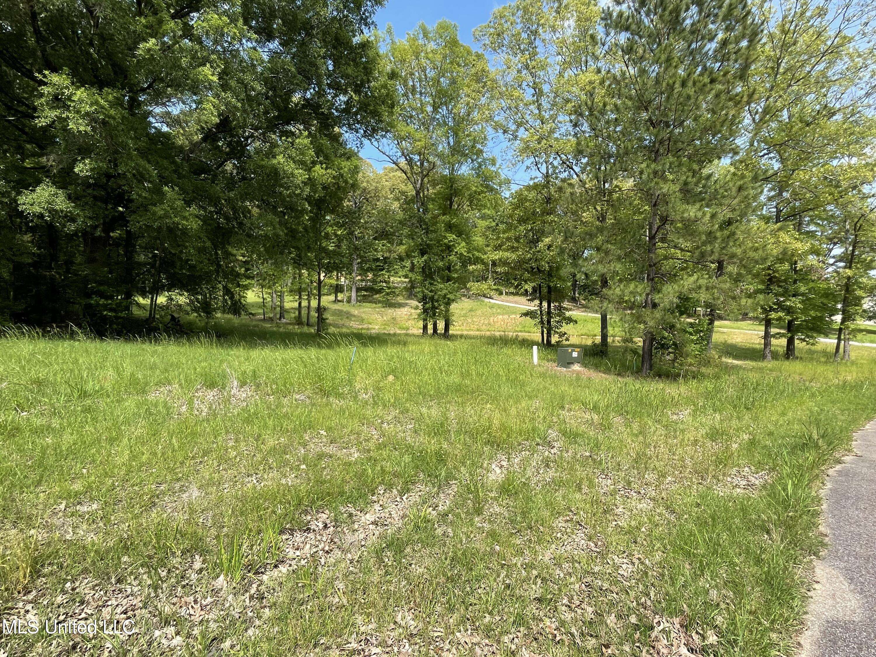 Madison, MS 39110,Dover Lane