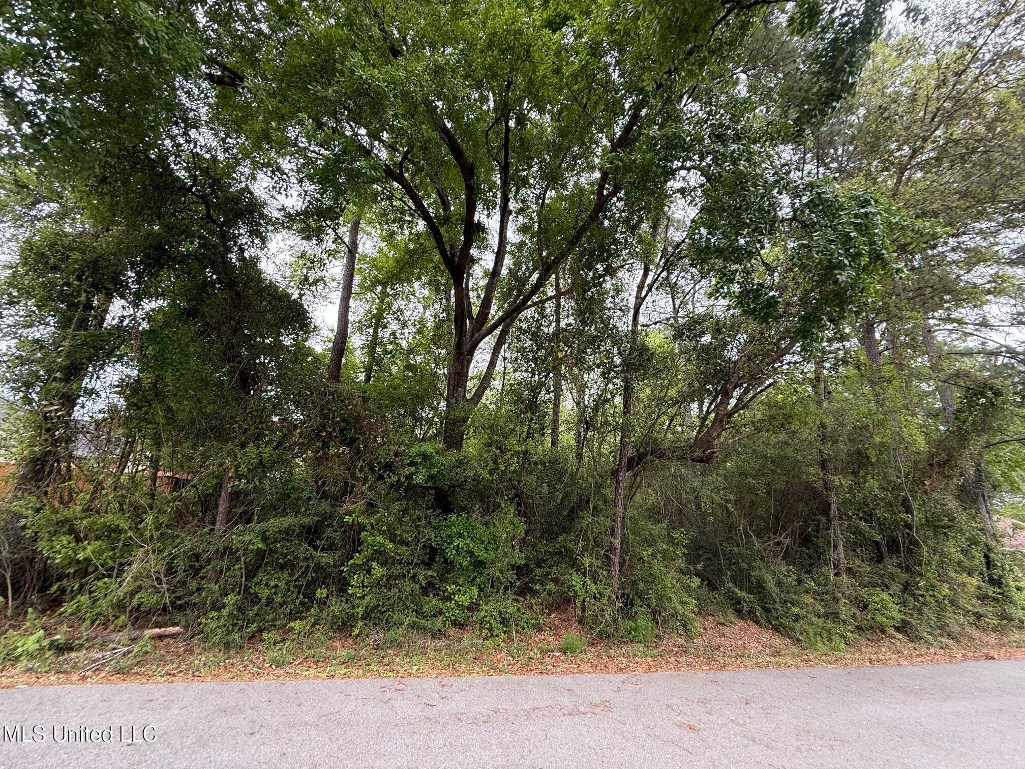 Diamondhead, MS 39525,6350 Banyan Place