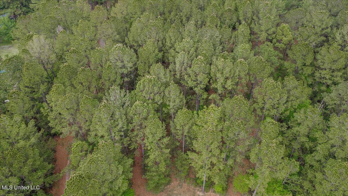 Moss Point, MS 39562,17921 Rayford Shumock Road