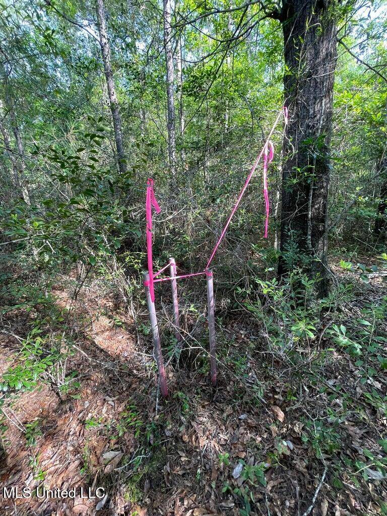Kiln, MS 39556,625 Texas Flat