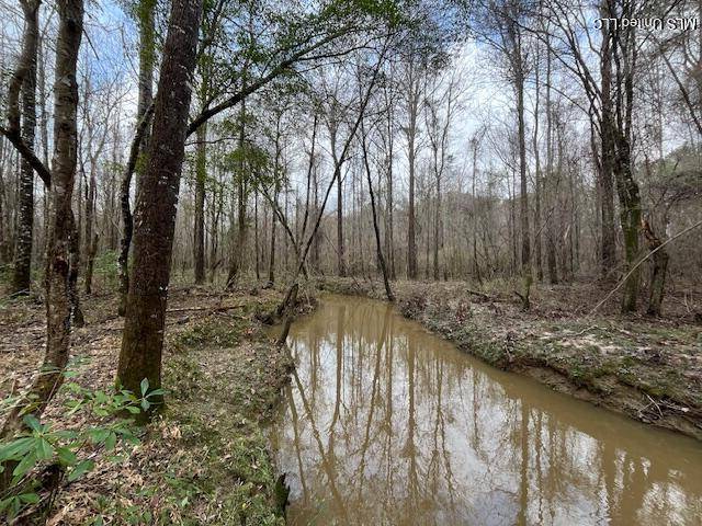 Bogue Chitto, MS 39629,1365 SW Mickle Smith Trail
