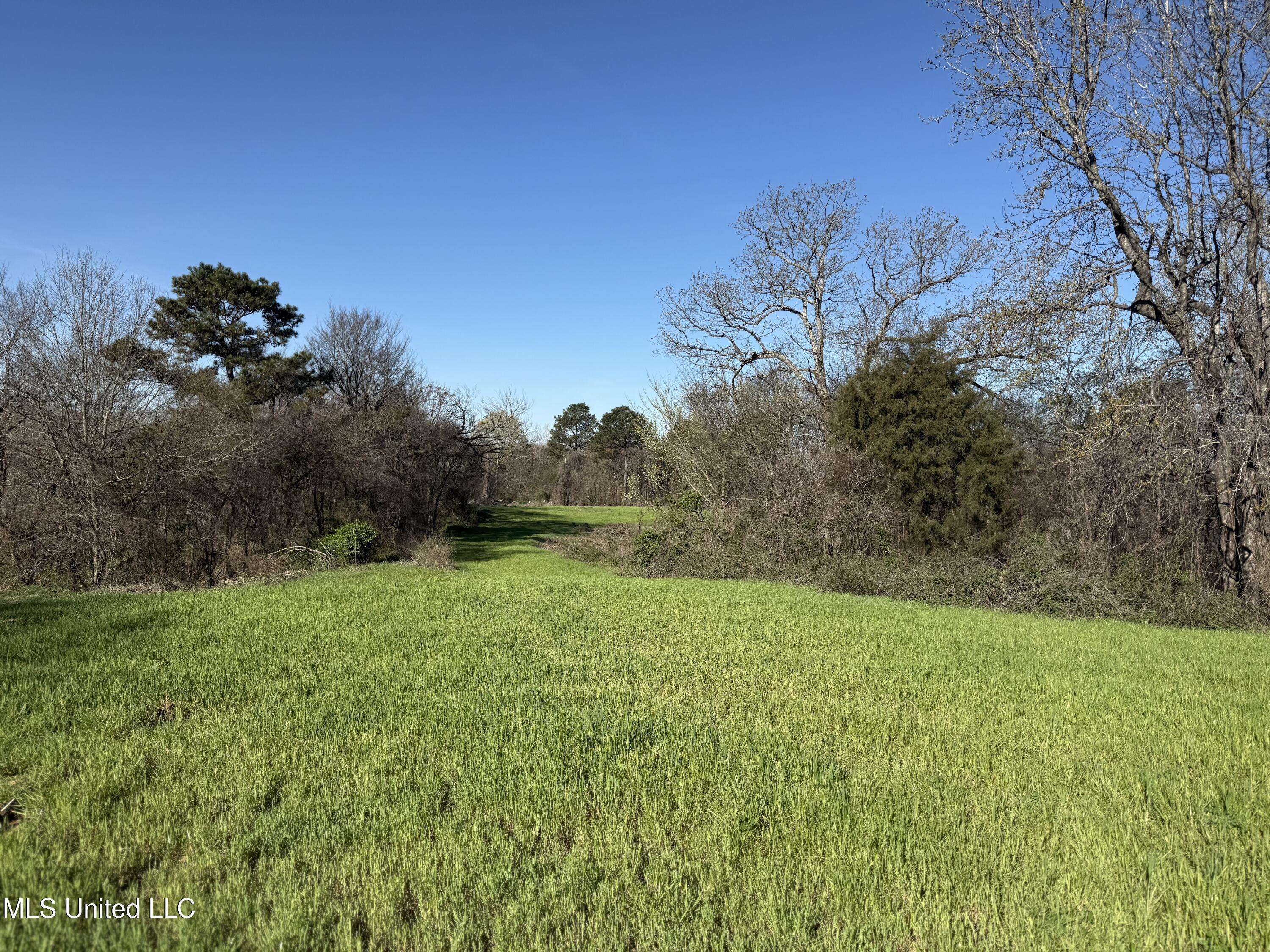 Tillatoba, MS 38961,Co Rd 271