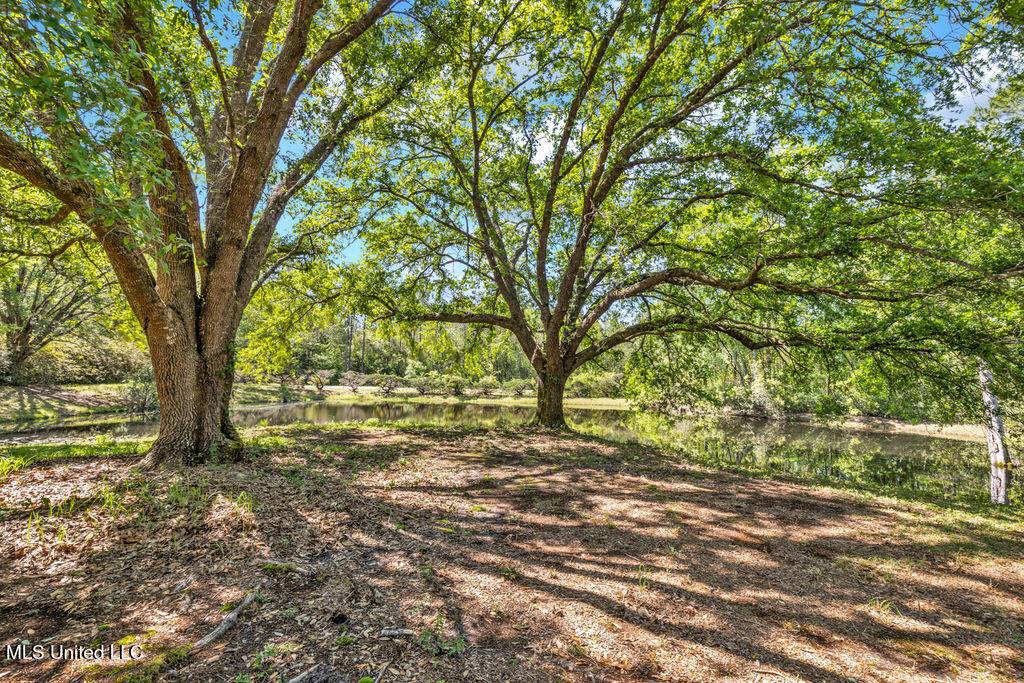 Vancleave, MS 39565,6236 Juniper Drive