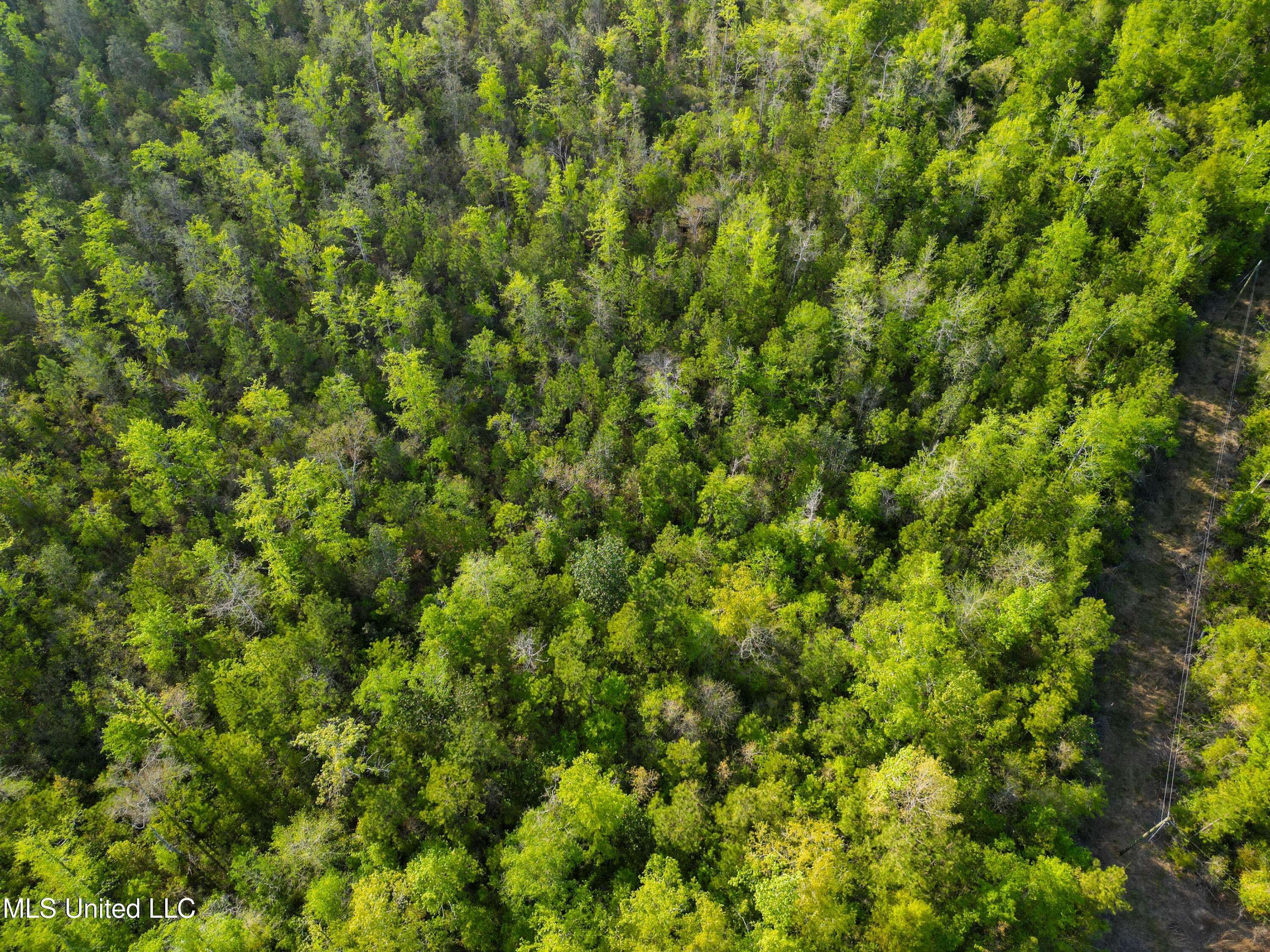 Lucedale, MS 39452,Peewee Miller Road