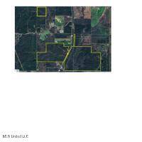 Silver Creek, MS 39663,0 Hwy 43