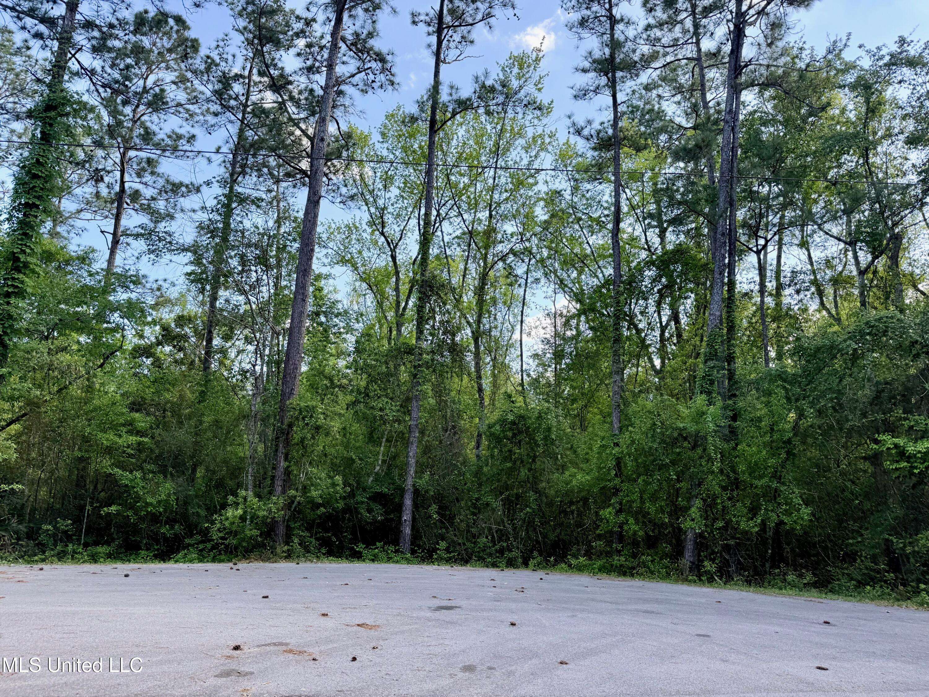 Diamondhead, MS 39525,6318 Banyan Place