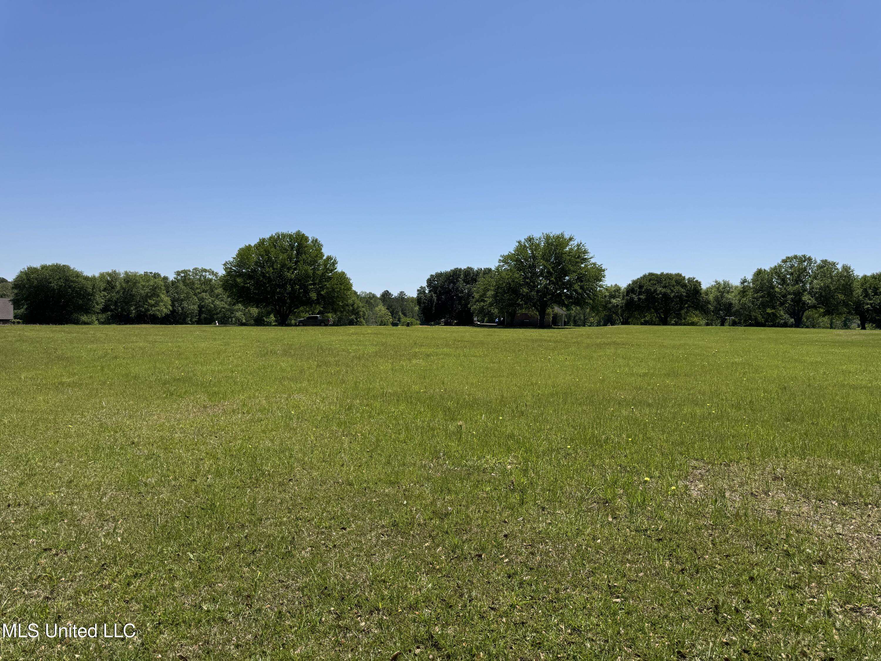 Carriere, MS 39426,165 Anastasia Drive