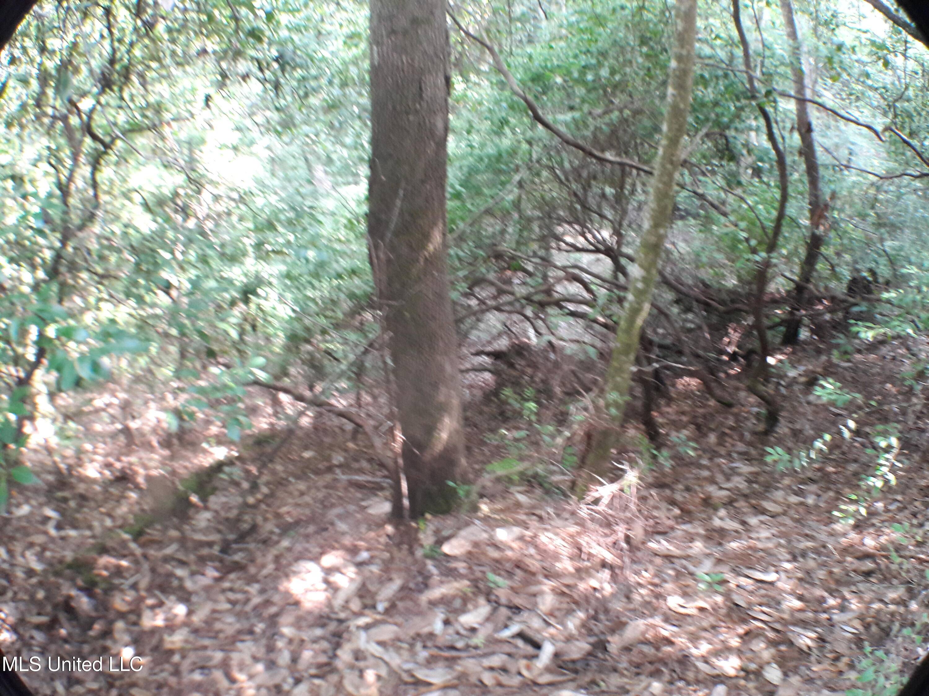 Vancleave, MS 39565,21902 Old River Road