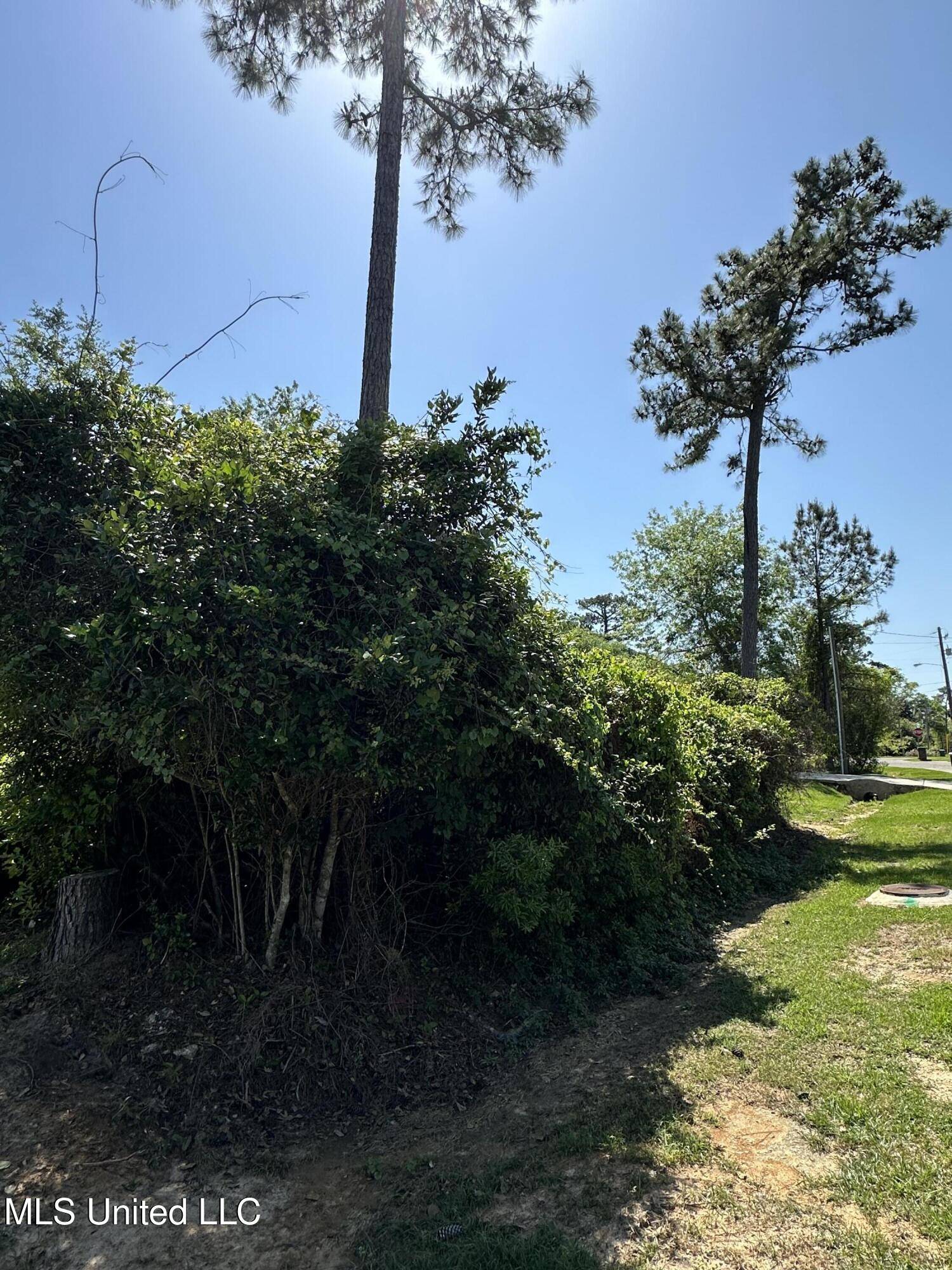 Diamondhead, MS 39525,Poni Place