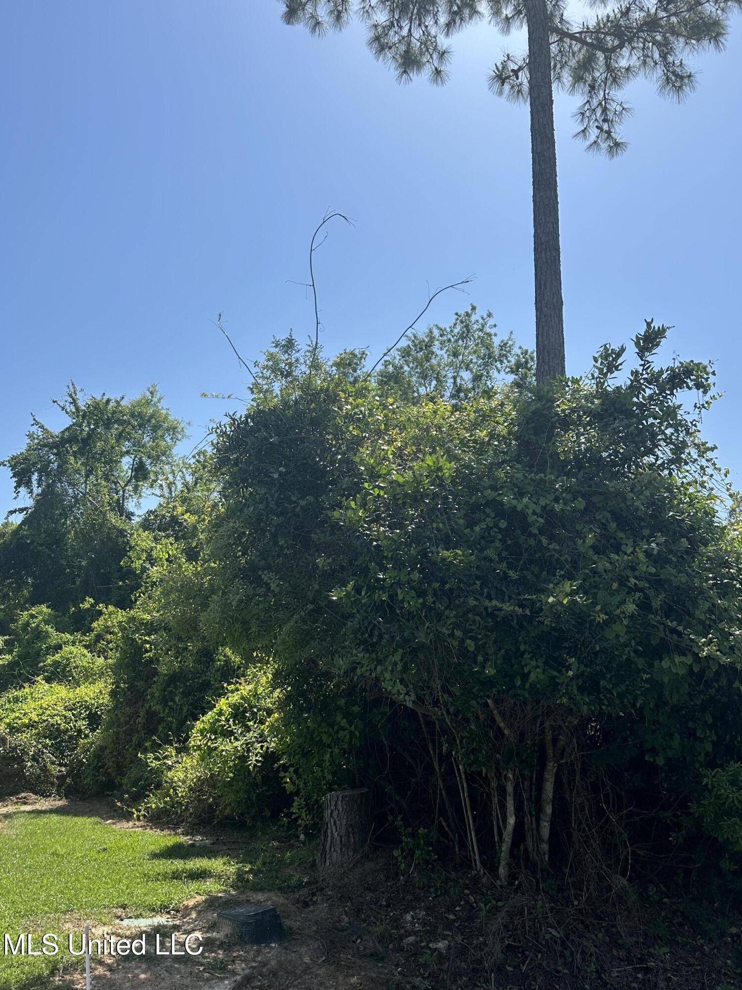 Diamondhead, MS 39525,Poni Place