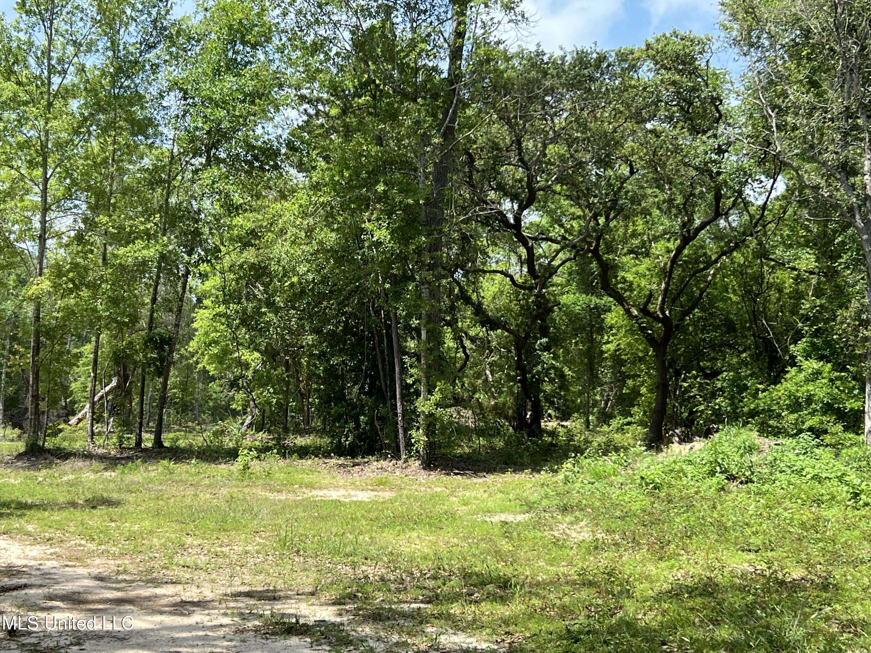 Pass Christian, MS 39571,4239 Menge Avenue
