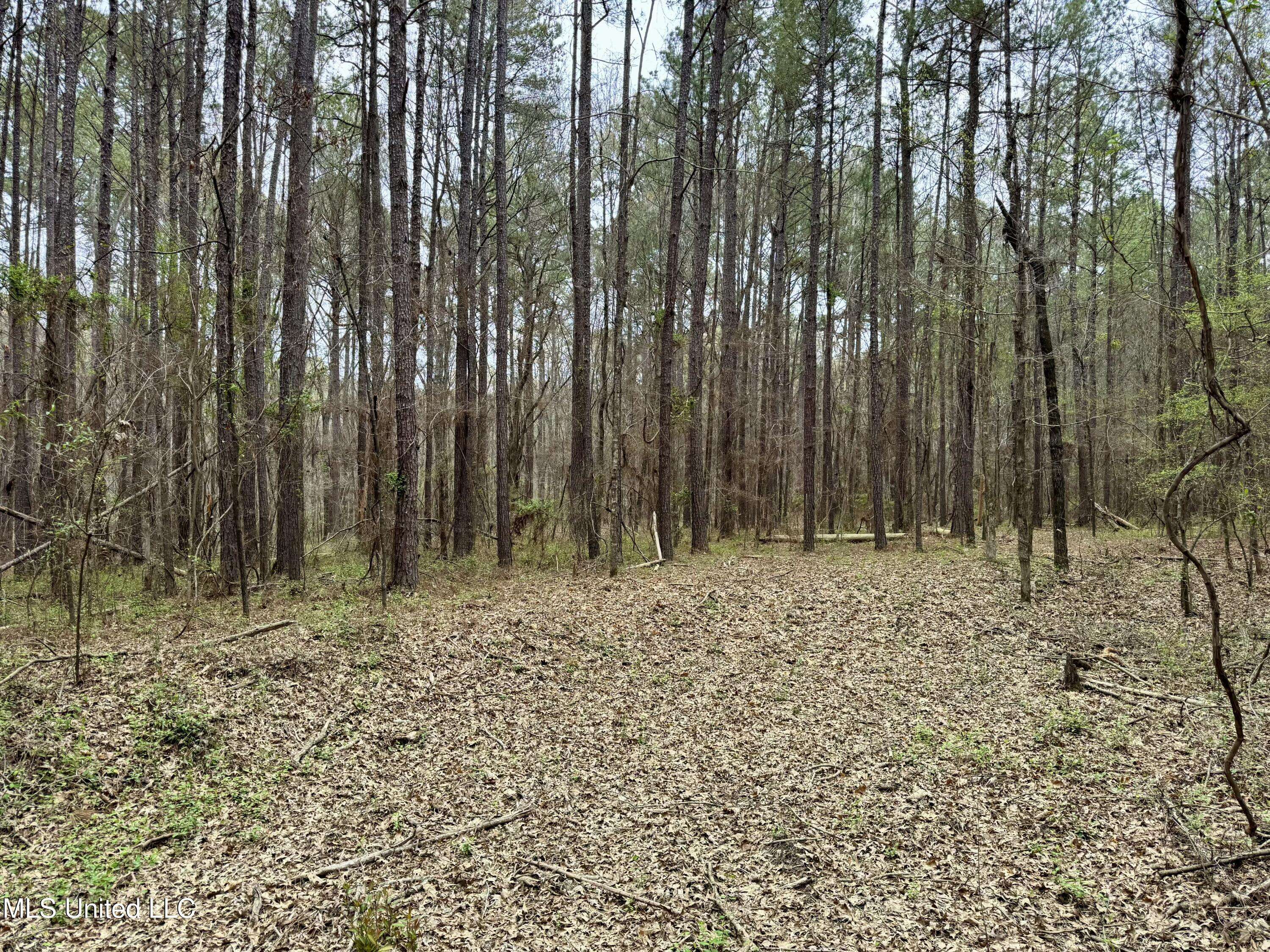 Canton, MS 39046,Robinson Rd