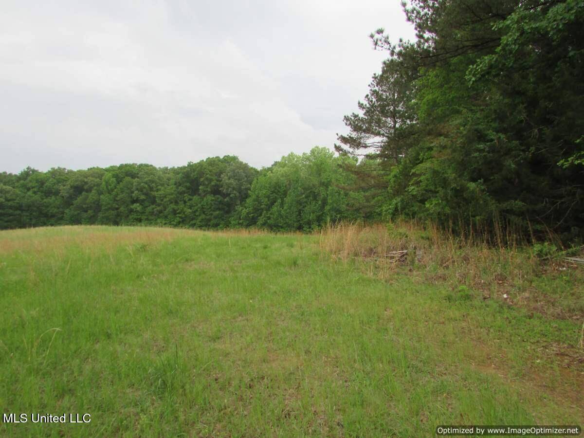 Vaughan, MS 39179,Westbrook Road / Waldrup Road