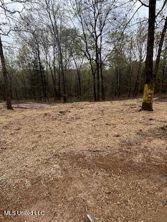 Batesville, MS 38606,957 Roberson Lane