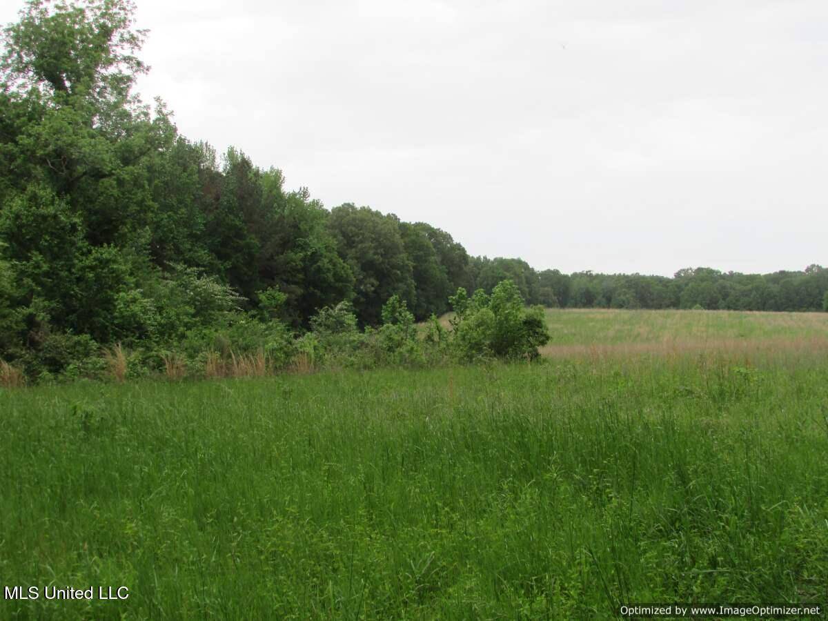 Vaughan, MS 39179,Westbrook Road / Waldrup Road