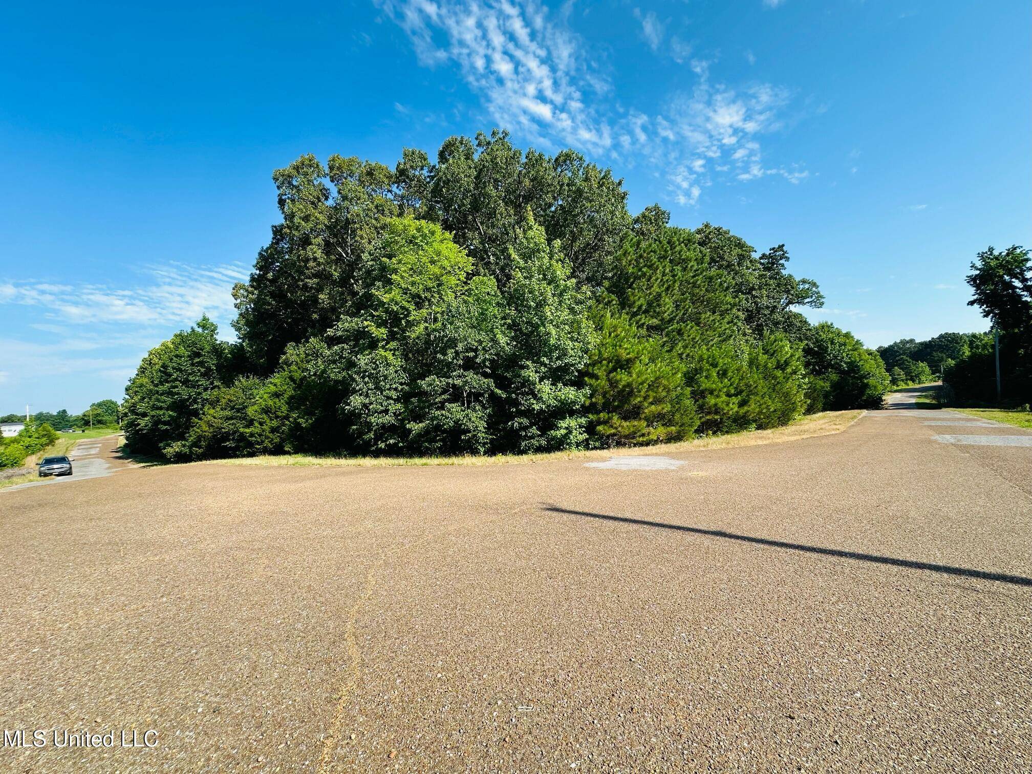 Senatobia, MS 38668,Lot 8-9 Hammond Hills Estates