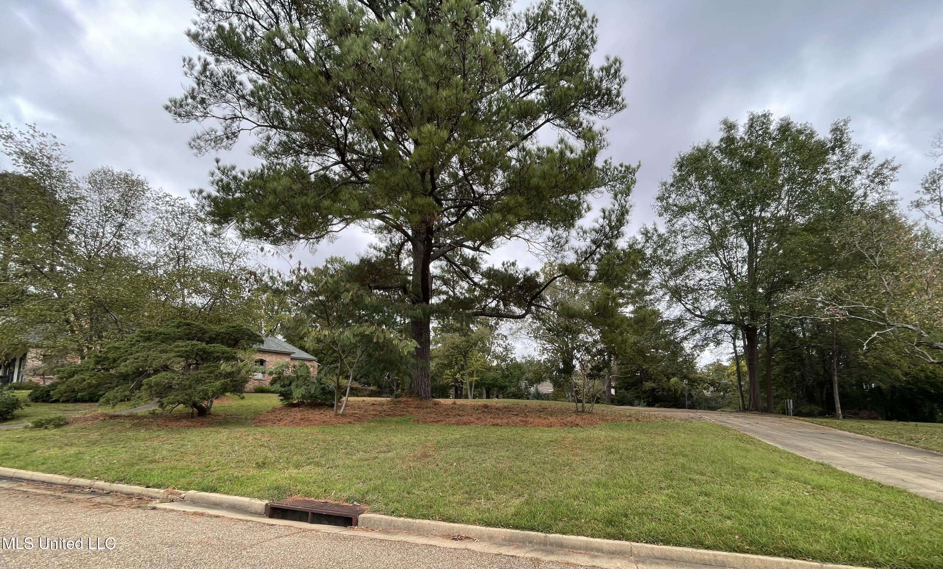 Jackson, MS 39211,102 Green Drive