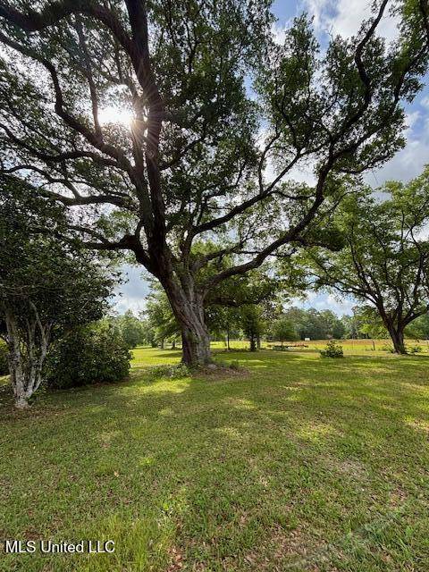 Vancleave, MS 39565,15521 Old River Road