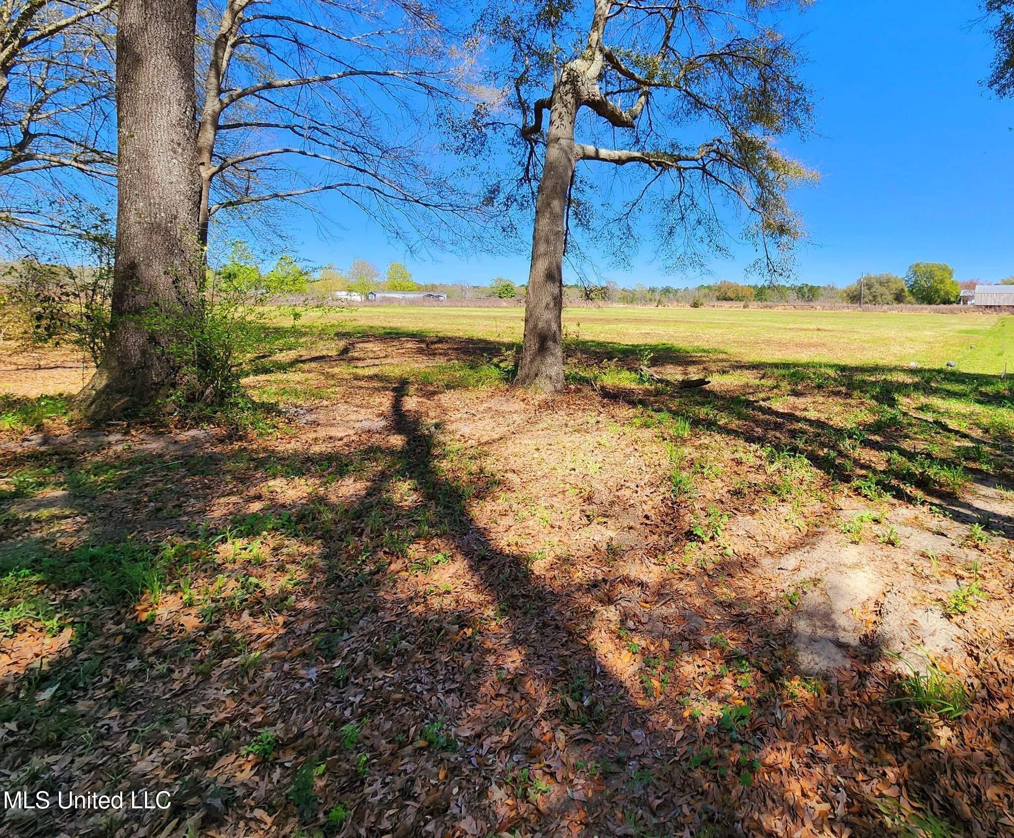 Lucedale, MS 39452,394 Yellow Bluff Road