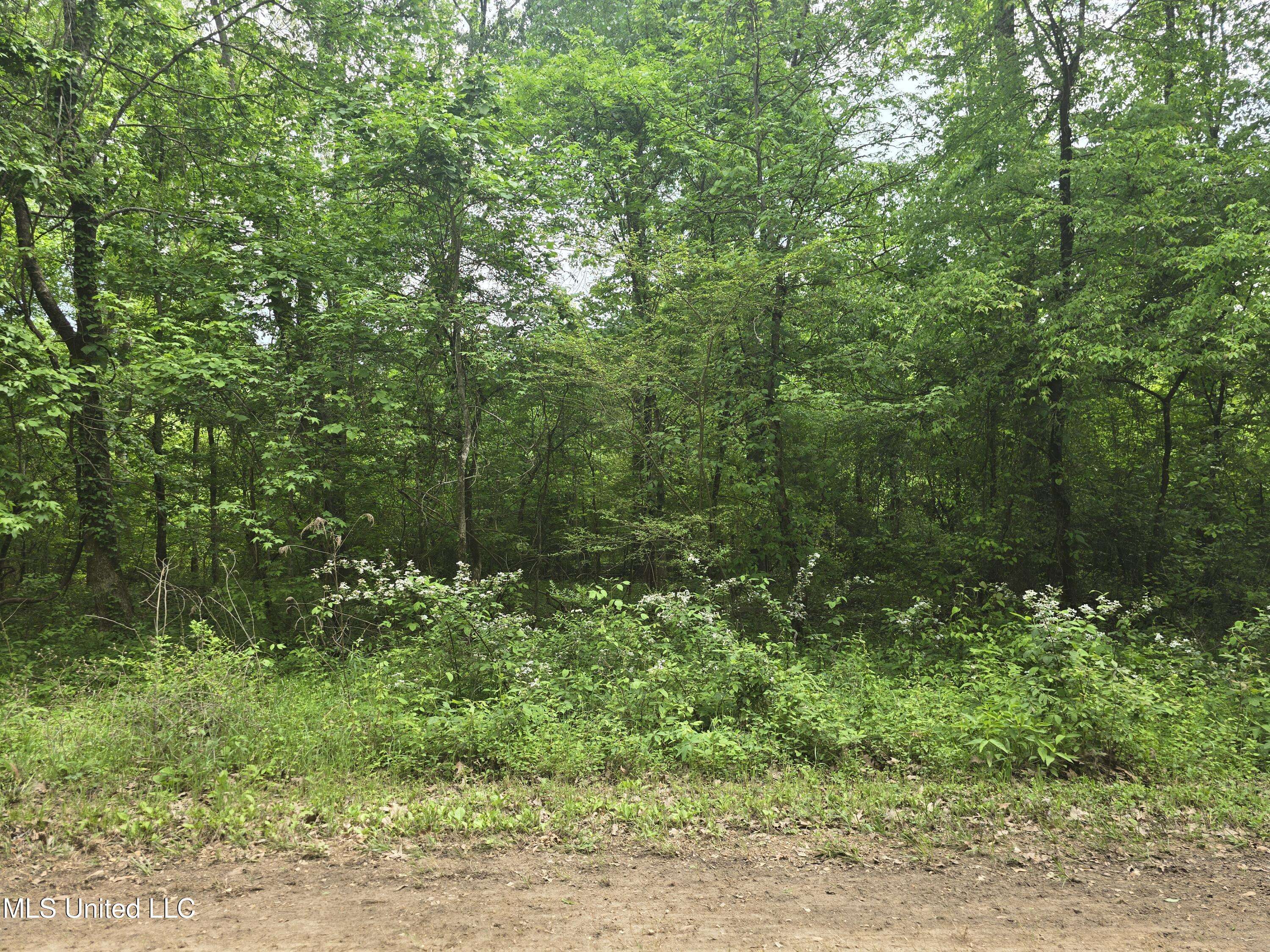 Hernando, MS 38632,Laughter Road
