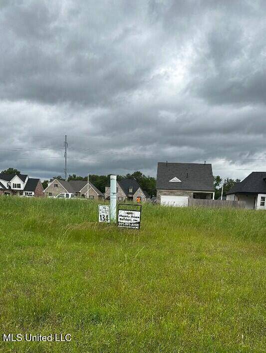 Nesbit, MS 38651,3492 Hatton Drive