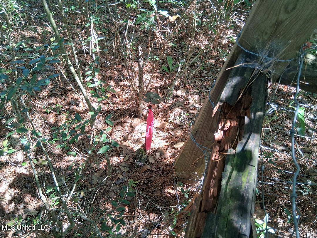 Lucedale, MS 39452,0 Ben Pierce