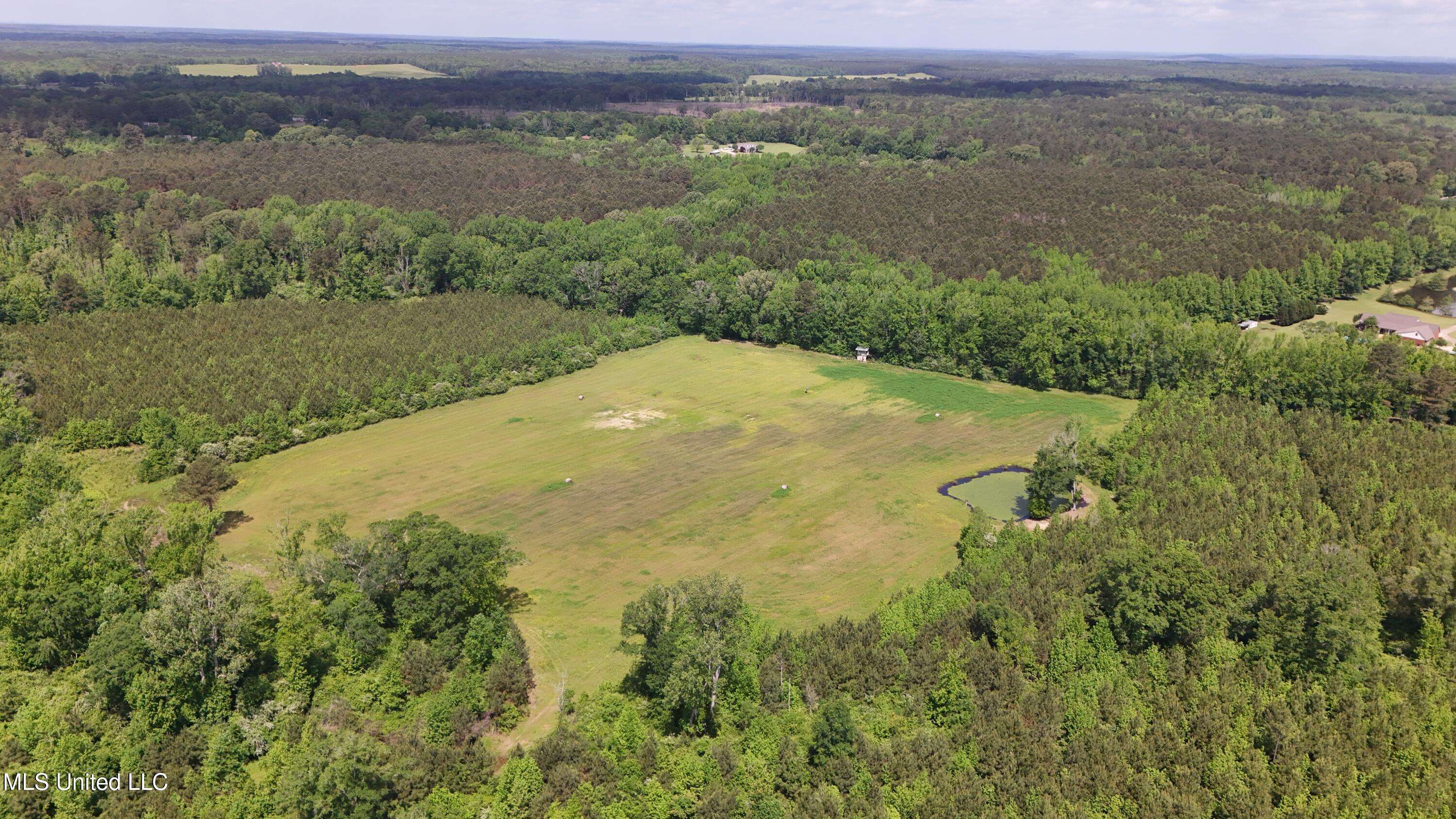 Ackerman, MS 39735,7844 Ms Highway 12