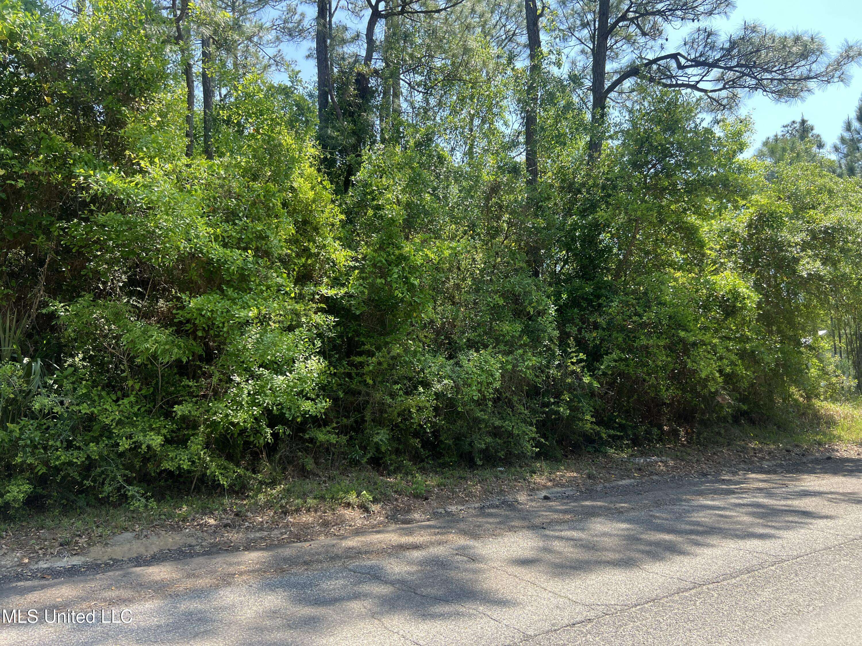 Pass Christian, MS 39571,322 Wittman Avenue