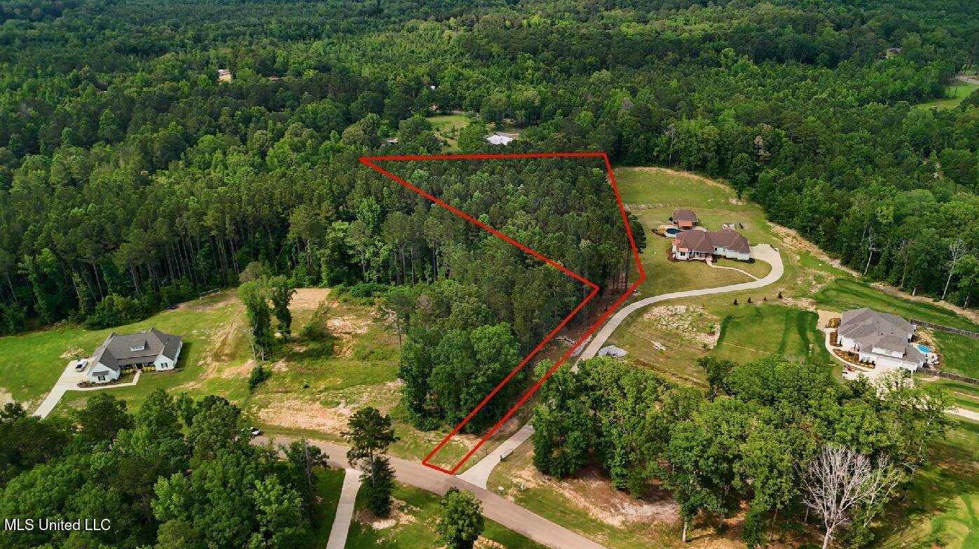 Brandon, MS 39042,Dogwood Trace