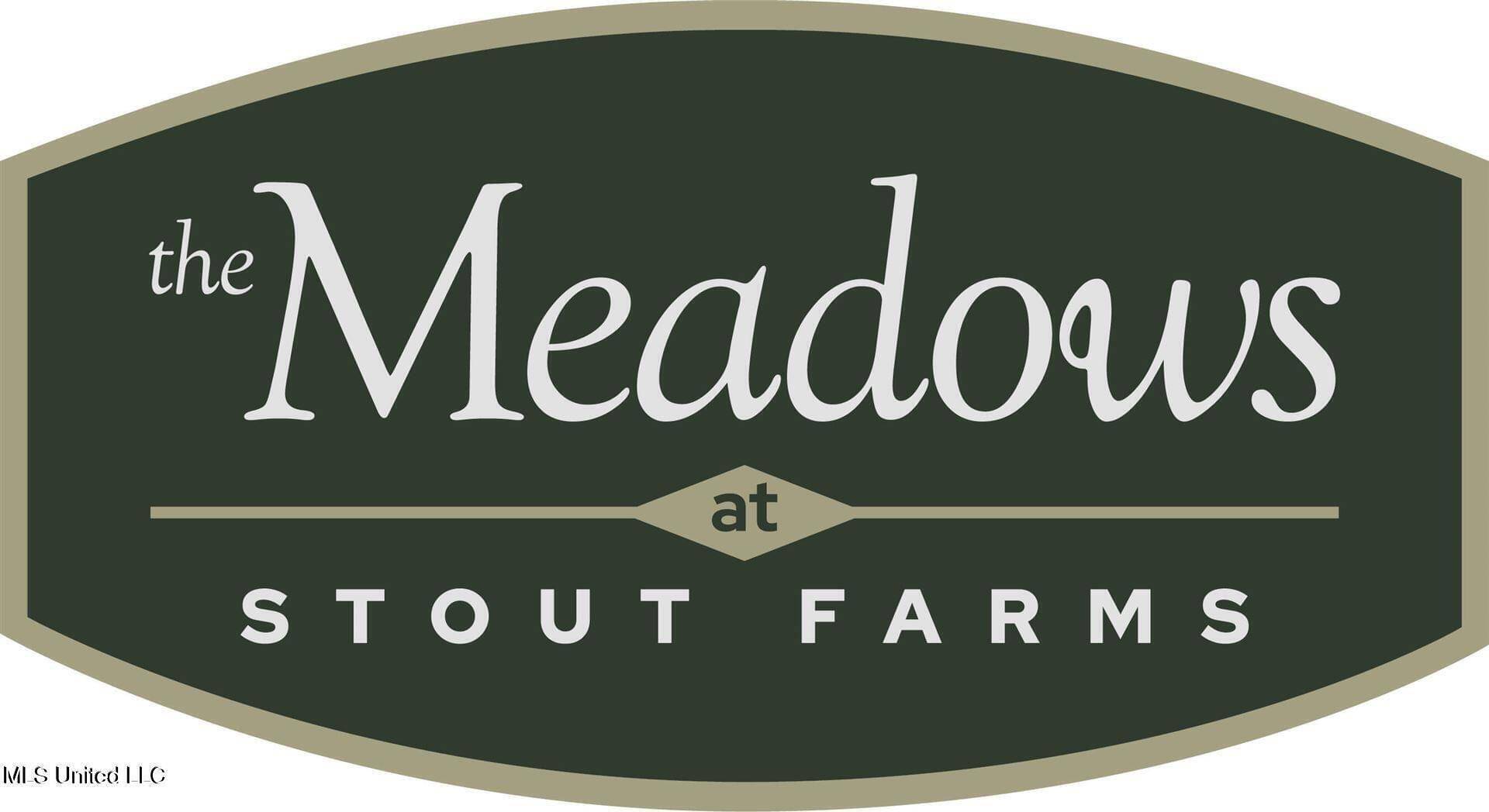 Madison, MS 39110,Stout Meadows Lane