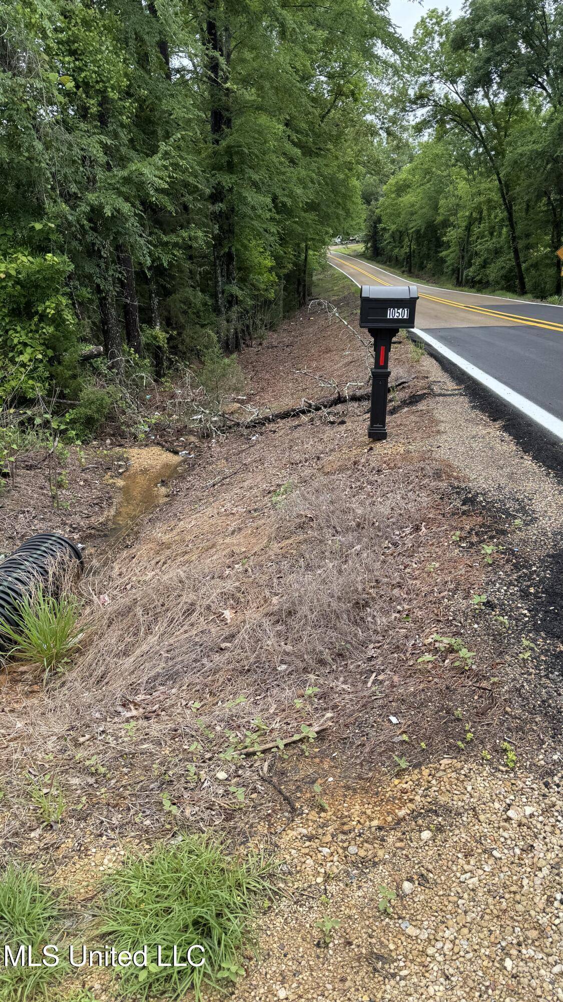 Forest, MS 39074,10501 Hwy 501
