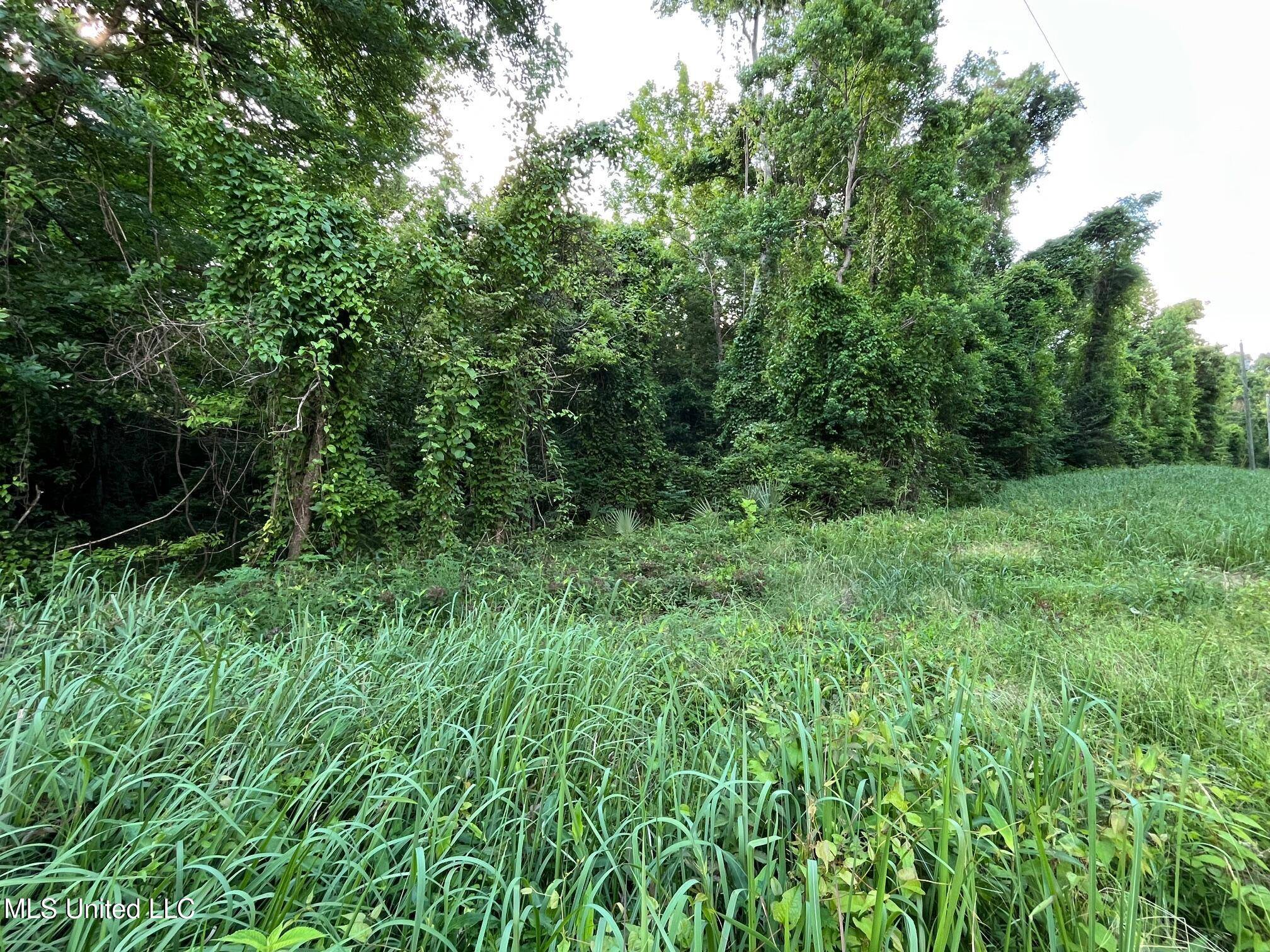 Leakesville, MS 39451,658 Vicie Lane