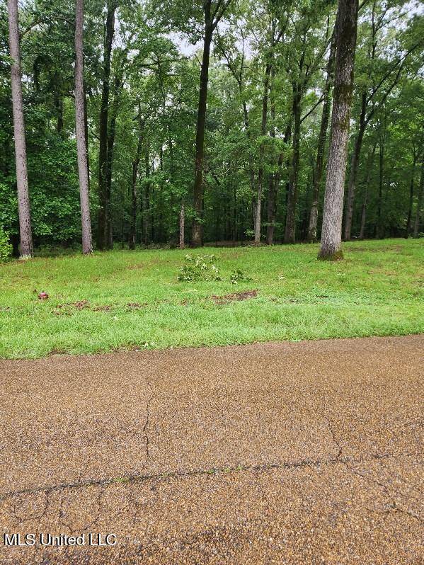 Natchez, MS 39120,10 Country Squire Road