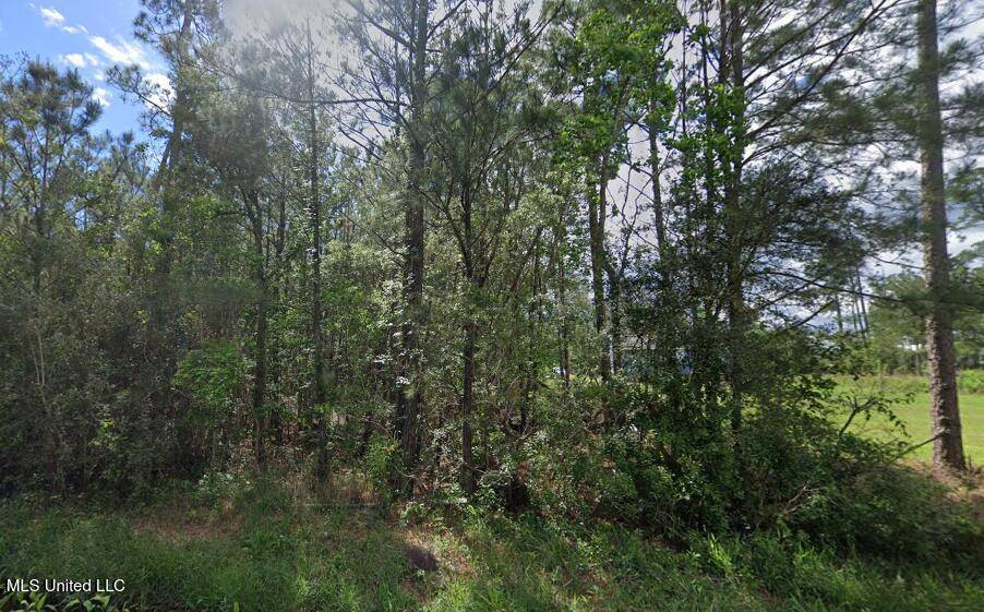 Bay Saint Louis, MS 39520,0 Taft Street