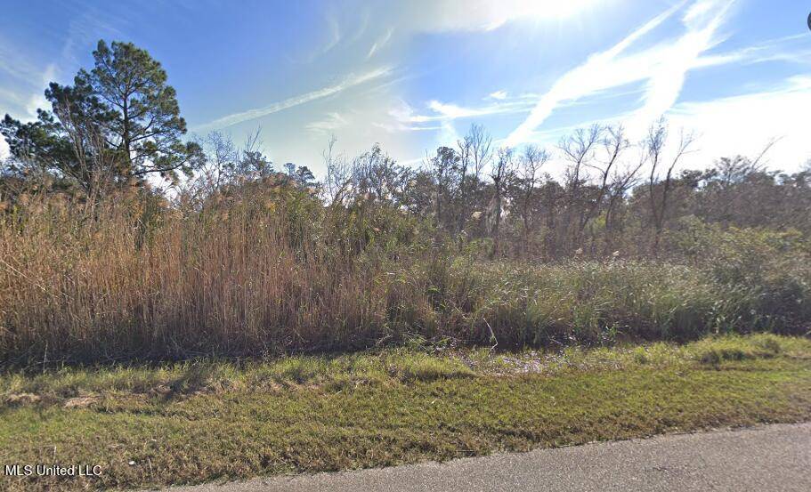 Pearlington, MS 39572,1 Riverside Drive