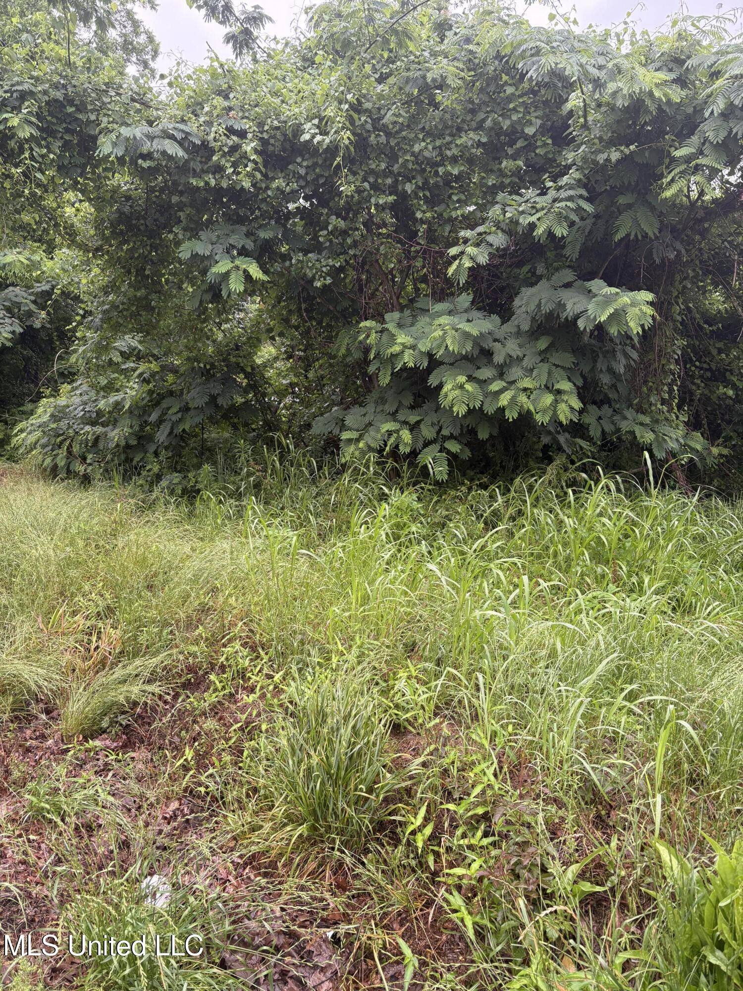 Natchez, MS 39120,722 Lower Woodville Road