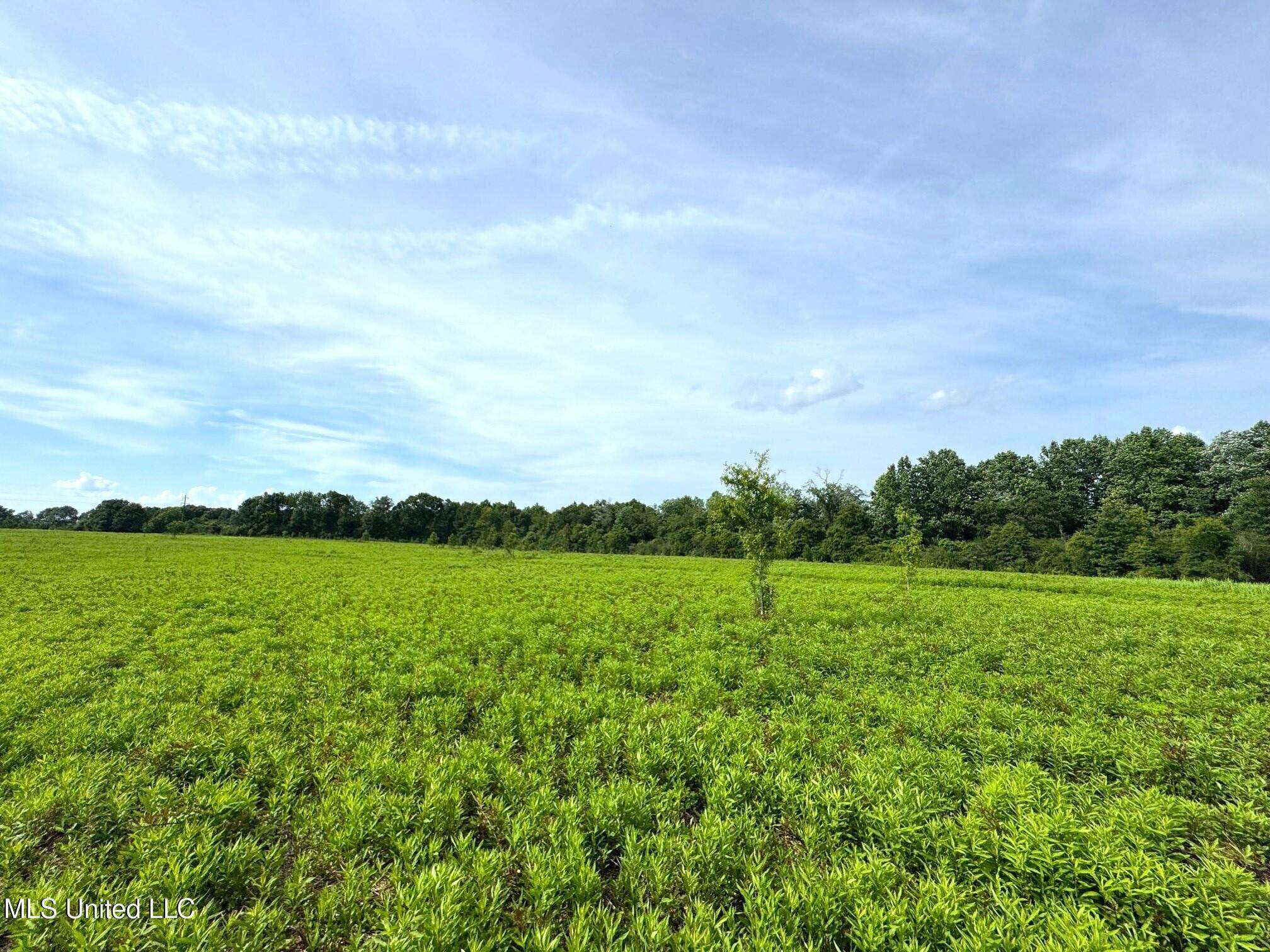 Lumberton, MS 39470,Lester Seals Road