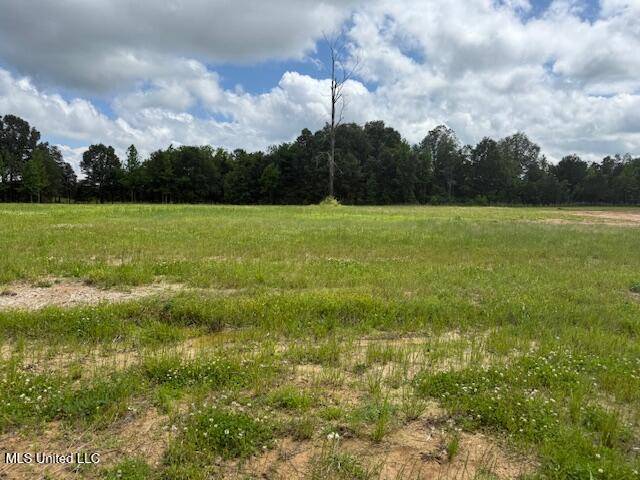 Byhalia, MS 38611,Cedar Crst Cove