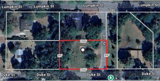 Lucedale, MS 39452,41 Dill Street