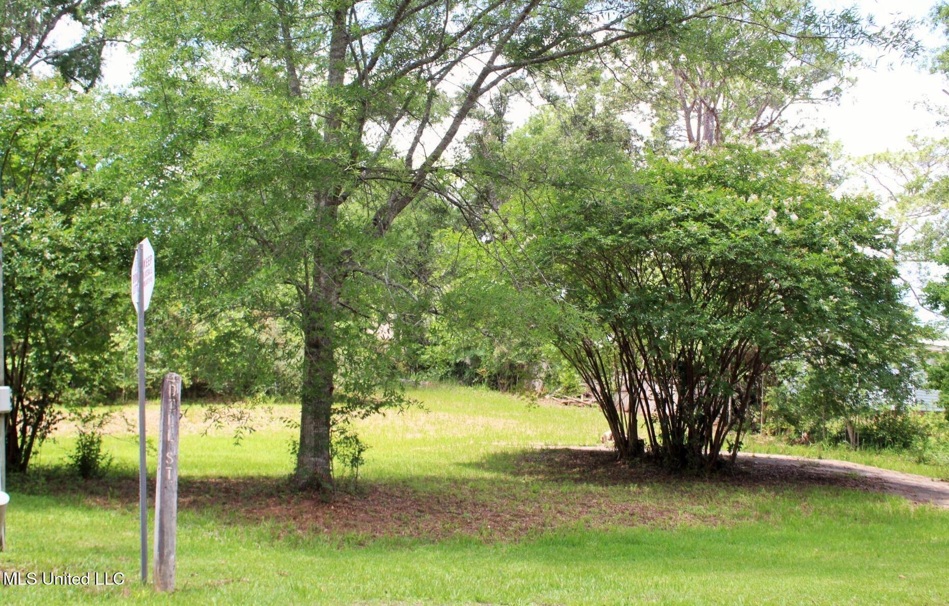 Lucedale, MS 39452,41 Dill Street