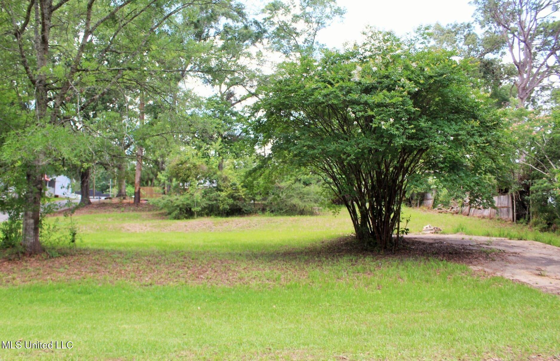 Lucedale, MS 39452,41 Dill Street