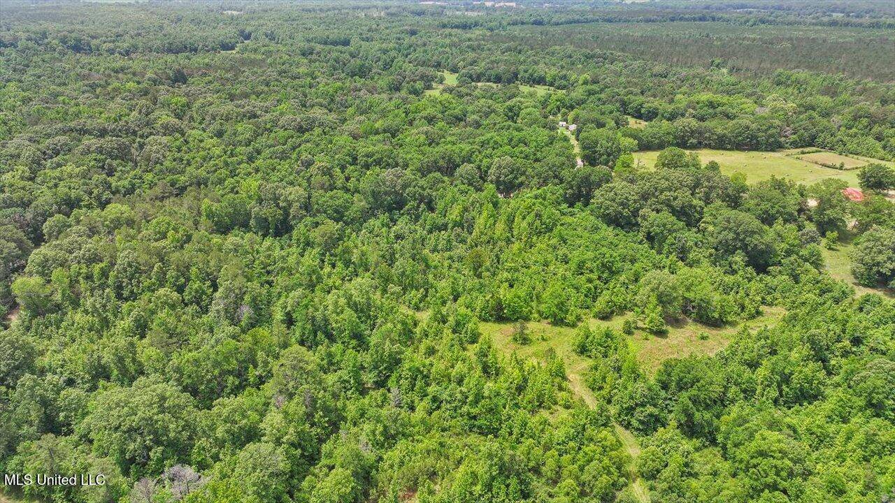 Pickens, MS 39146,869 B Parks Road