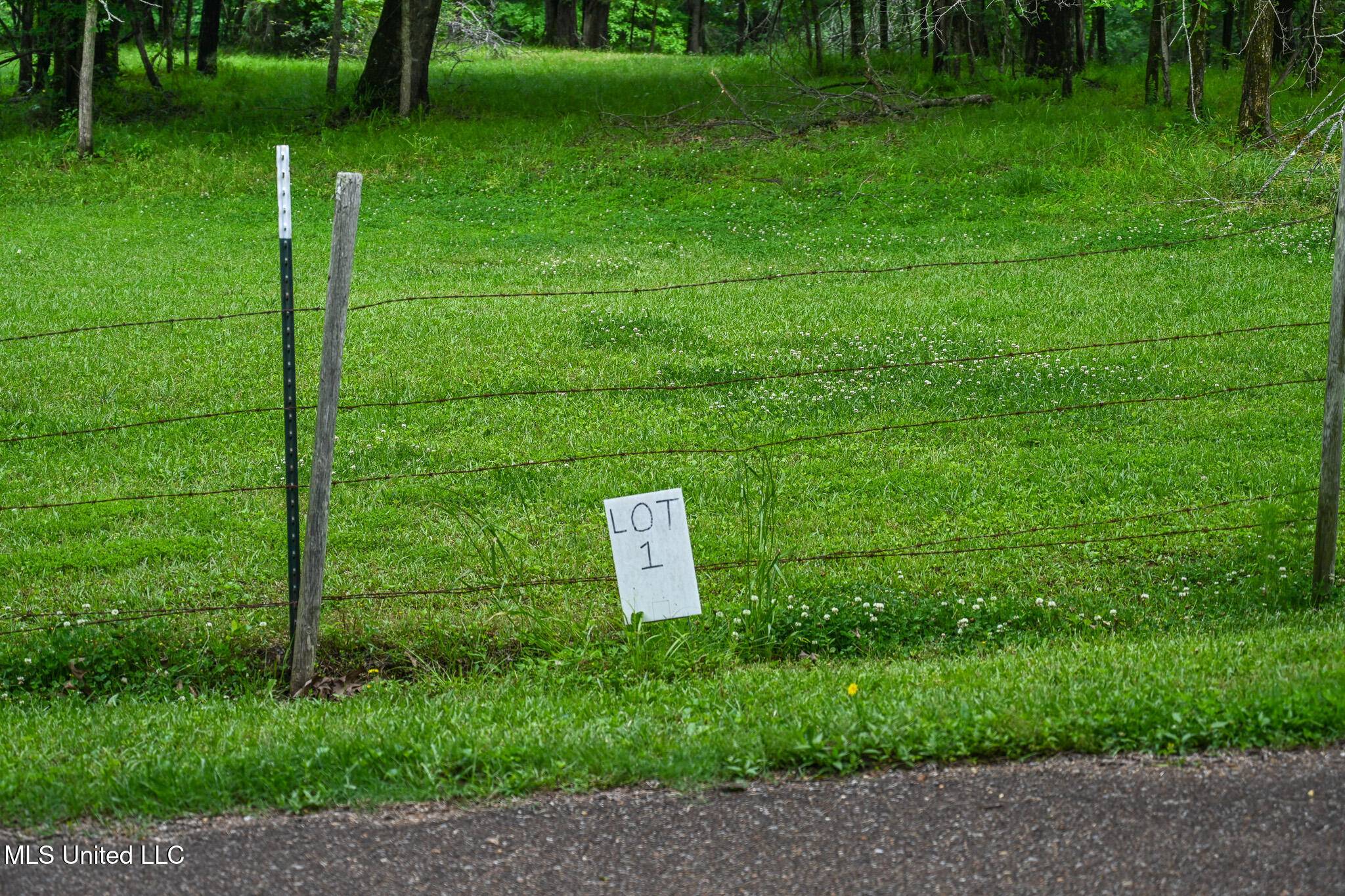 Byhalia, MS 38611,1 Woodlawn Road