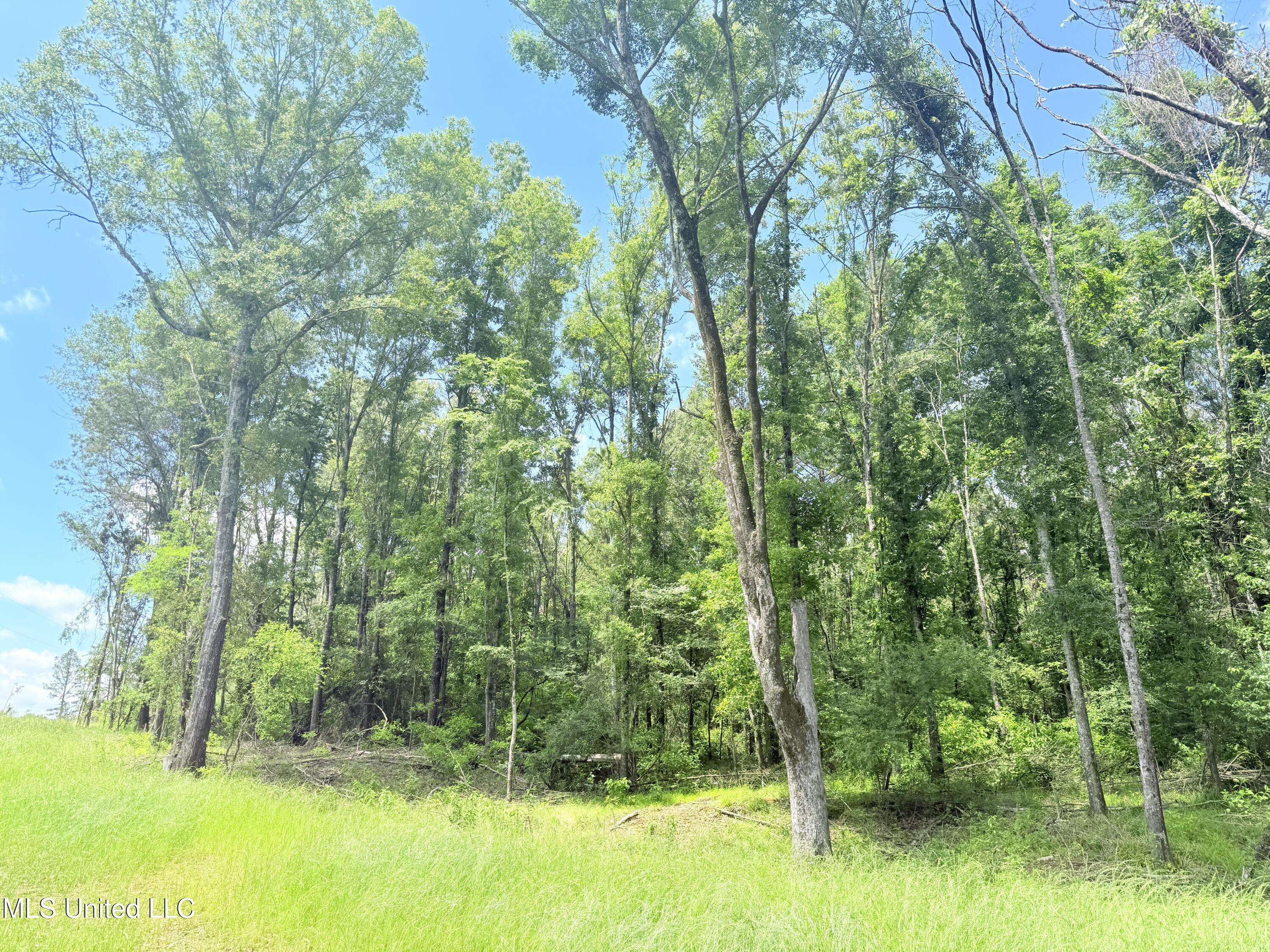 Madison, MS 39110,Stout Meadows Lane