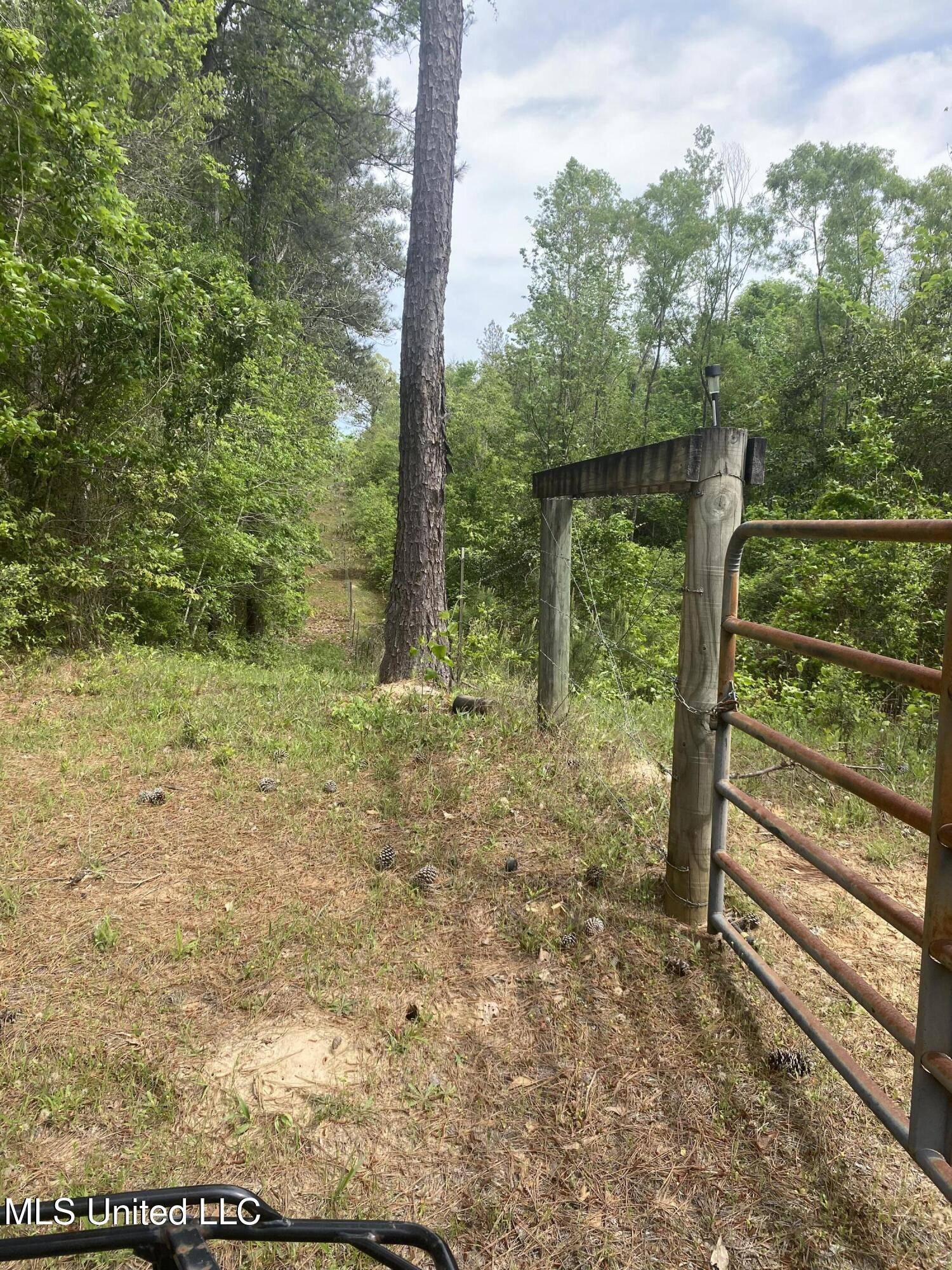 Magee, MS 39111,Bryant Lane
