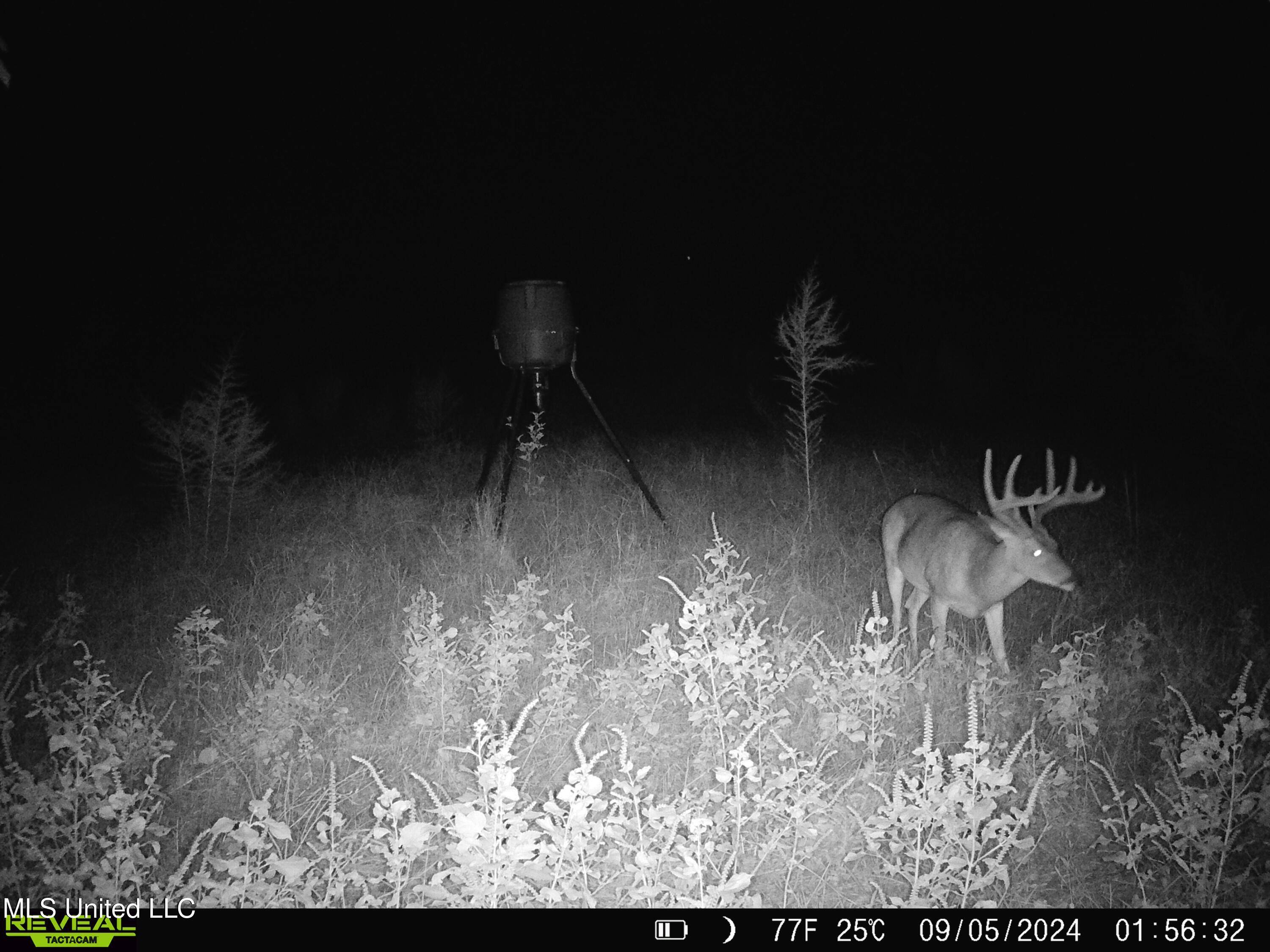Benton, MS 39039,1 Ingram Road