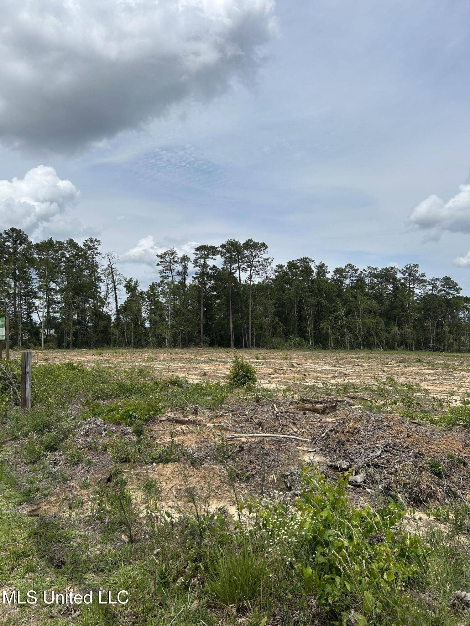 Lucedale, MS 39452,1 Ac Old Hwy 63 S Parcel 3