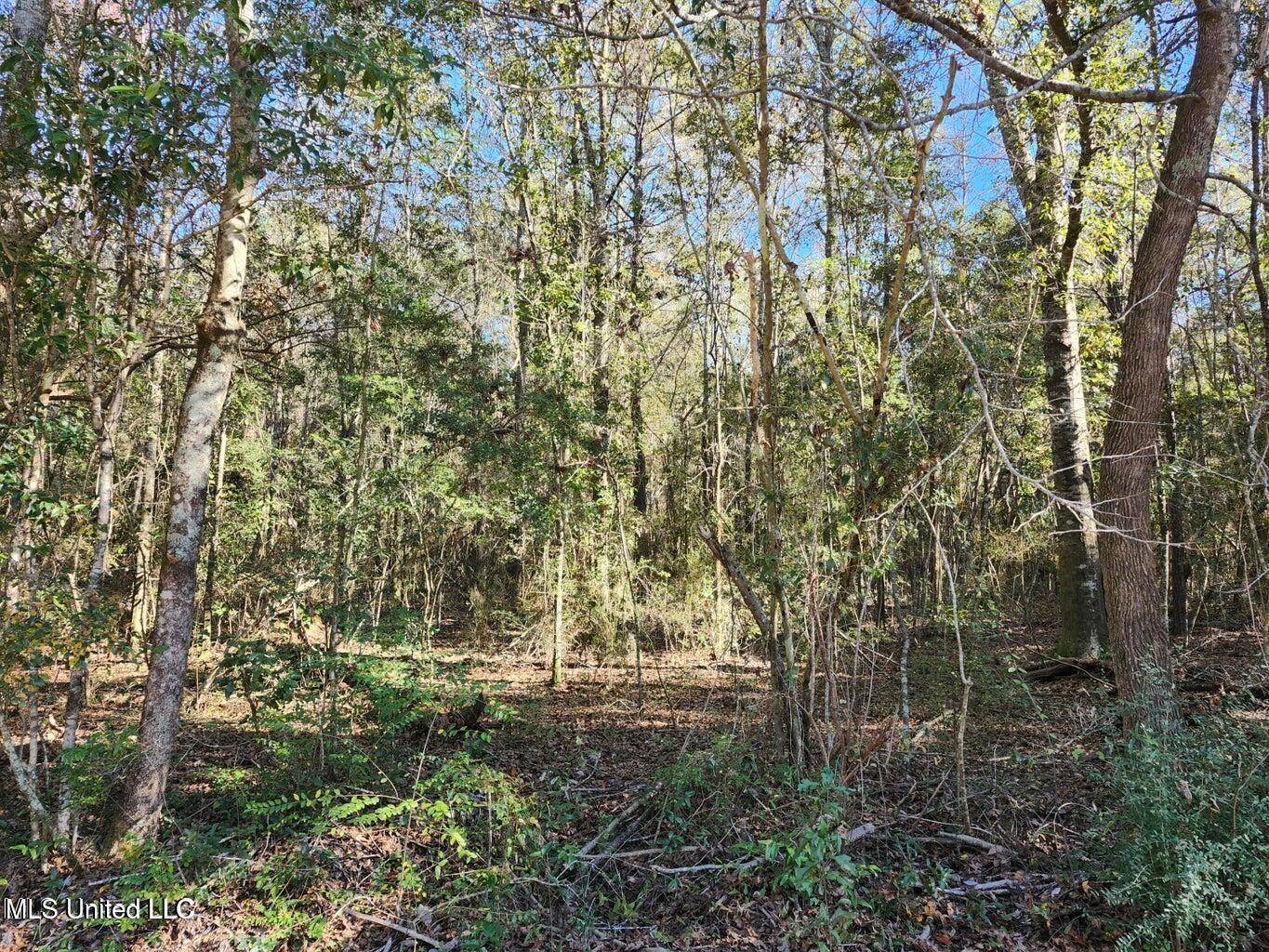 Kiln, MS 39556,Hoda Road