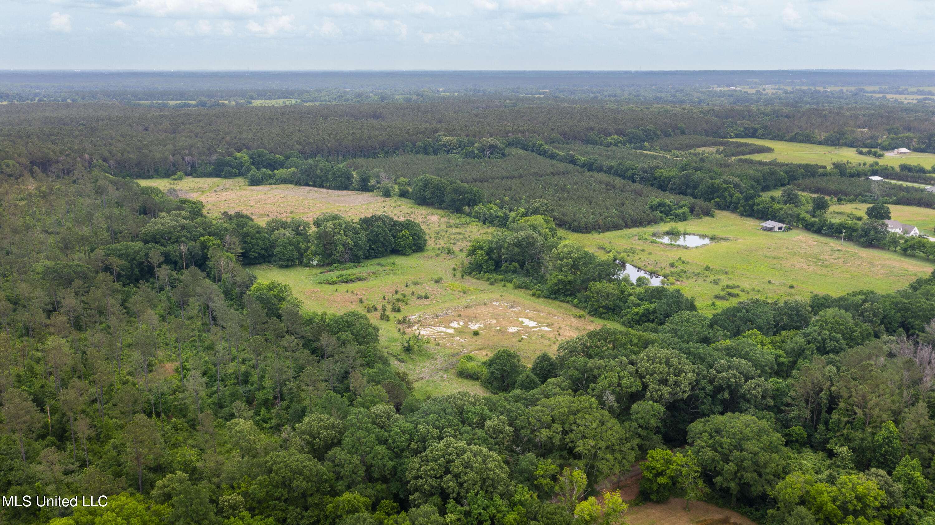 Flora, MS 39071,Horseshoe Lane
