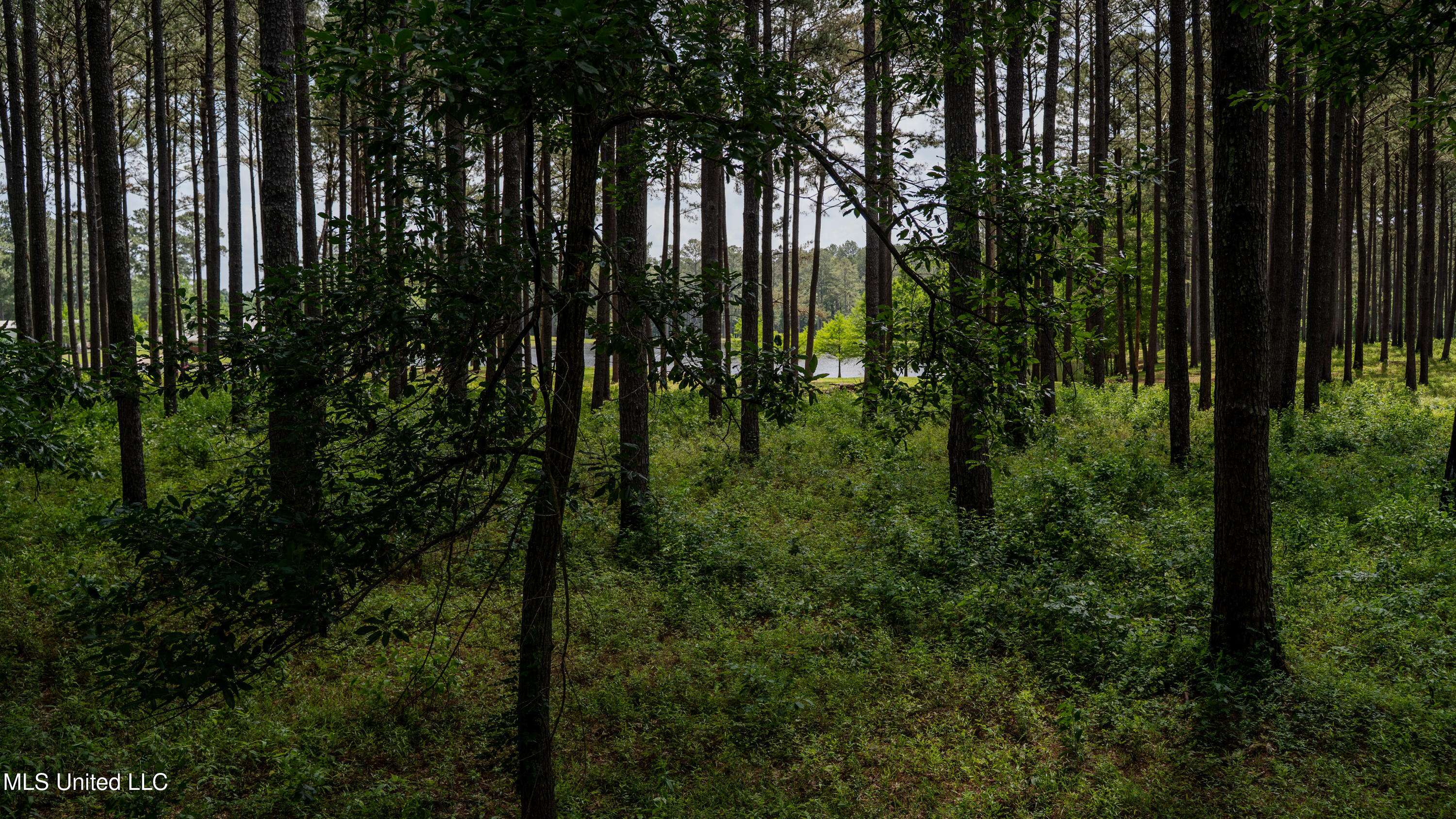 Hickory, MS 39332,0 Pleasant Ridge Road